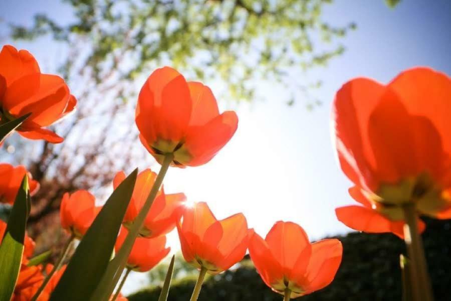 فيلا نوردفايكرهاوْتفي Zon&Zee Vakanties Duinzigt المظهر الخارجي الصورة